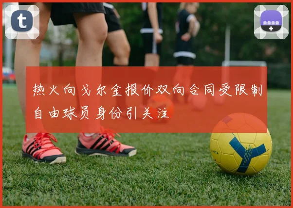 热火向戈尔金报价双向合同受限制自由球员身份引关注