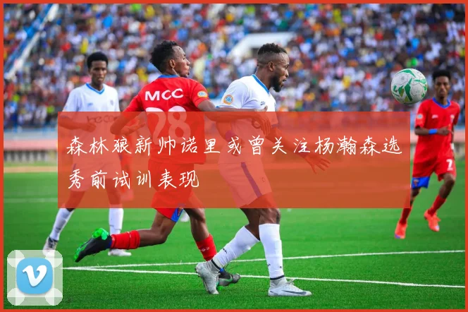 森林狼新帅诺里或曾关注杨瀚森选秀前试训表现