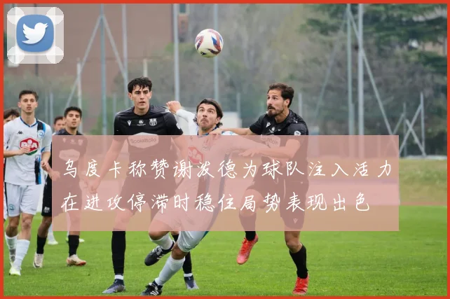乌度卡称赞谢泼德为球队注入活力在进攻停滞时稳住局势表现出色
